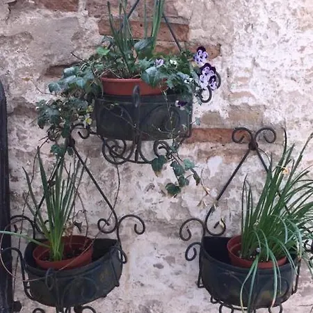 Apartament Giorgetta N 4 Open Space